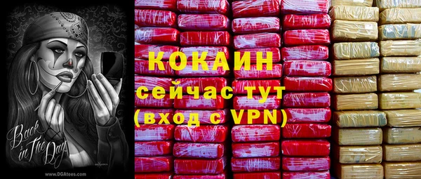крисы Инсар