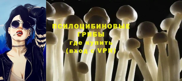 герыч Инта