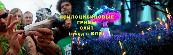 крисы Инсар