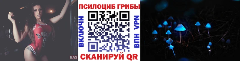 закладка  Сосенский  Псилоцибиновые грибы прущие грибы 